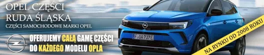  Блок круиз-контроля Opel Astra H Арт AL16784696817, вид 12