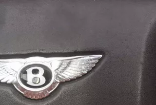 3W0880199Q Подушка безопасности Bentley Continental 3 Арт AL16266667954, вид 9