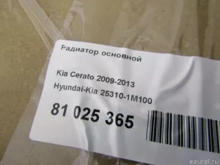 253101M100 Hyundai-Kia Радиатор основной Kia Cerato 2 Арт E81025365, вид 8