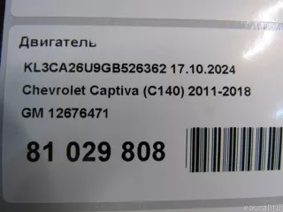 12676471 GM Двигатель Opel Antara Арт E81029808, вид 13
