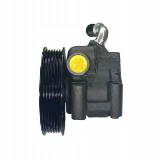 4900150 Насос ГУР Ford C-max 1 Арт AL12492600788_2, вид 1
