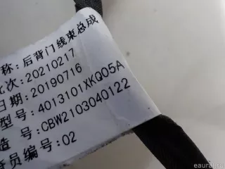 4013101XKQ05A Great Wall Проводка (коса) Haval F7 Арт E84638531, вид 10