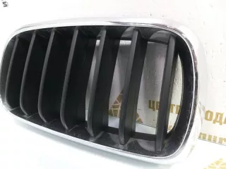 7316075 Решетка радиатора BMW X5 F15 Арт TP104747, вид 3