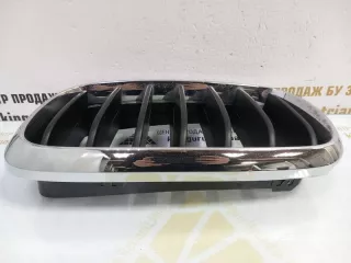 7316075 Решетка радиатора BMW X5 F15 Арт TP104747, вид 4