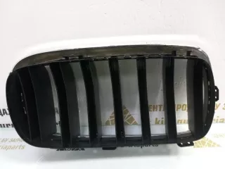 7316075 Решетка радиатора BMW X5 F15 Арт TP104747, вид 6