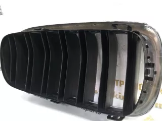 7316075 Решетка радиатора BMW X5 F15 Арт TP104747, вид 8