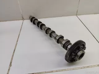 242002F010 Hyundai-Kia Распредвал Hyundai Santa FE 4 (TM) restailing Арт E84789340, вид 2