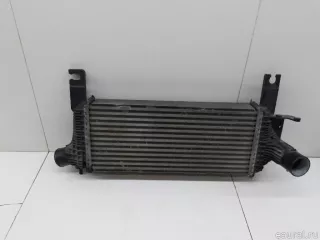 144615X00A Nissan Интеркулер Nissan Pathfinder 4 Арт E84796397, вид 1