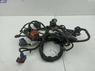 V76813880 Проводка двигателя Peugeot 207 Арт 54960376, вид 1