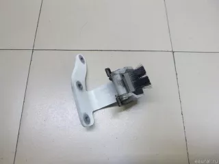 95851230100 VAG Петля двери багажника Porsche Cayenne 958 Арт E100254962, вид 1