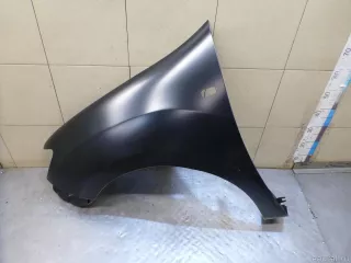 RN10060DL TYG Крыло переднее левое Renault Sandero 2 Арт E100276046, вид 1