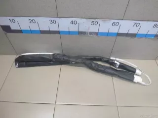 985P10013R Renault Подушка безопасности боковая (шторка) Renault Scenic 3 Арт E100308630, вид 1