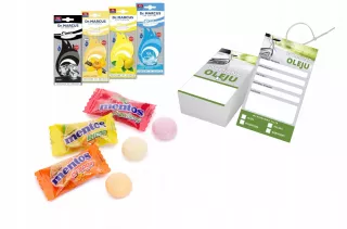 LEM33636,01(EXT) Рычаг передний правый Ford Tourneo Арт AL12697521483, вид 3