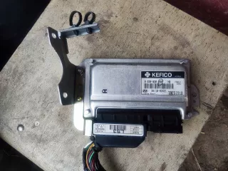 39110-02421 Блок управления двигателем Hyundai HD Арт AL12789575040, вид 1