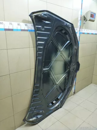 5E0823031 VAG Капот Skoda Octavia A8 Арт E100443828, вид 12