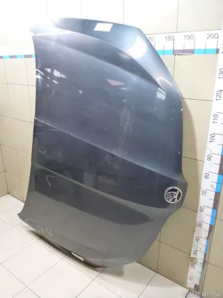 5E0823031 VAG Капот Skoda Octavia A8 Арт E100443828, вид 3