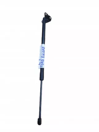 LJ6B-S406A11-AC Амортизатор багажника Ford Escape 4 Арт AL12916507619, вид 1