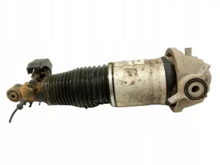 7L6616020D Амортизатор задний правый Volkswagen Touareg 1 Арт AL15360933107, вид 1
