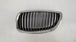 7254967 Решетка радиатора BMW 3 E90/E91/E92/E93 Арт AL15377517110, вид 1