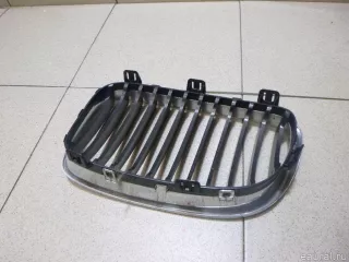 51137179656 BMW Решетка радиатора BMW X1 E84 Арт E100484049, вид 3