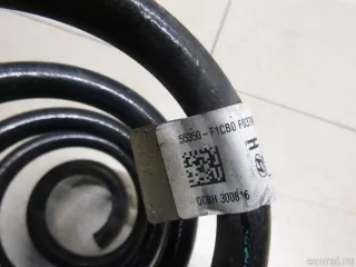 55350F1CB0 Hyundai-Kia Пружина задняя Kia Sportage 4 Арт E12712849, вид 3