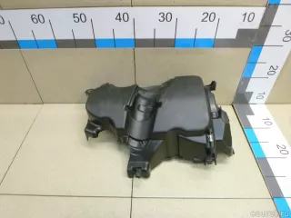 175B15263R Renault Накладка декоративная Renault Scenic 3 Арт E12982409, вид 1