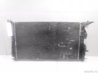 214100002R Renault Радиатор основной Renault Scenic 3 Арт E14325781, вид 6