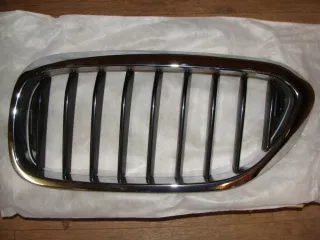 51719626587 Решетка радиатора BMW 5 G30/G31 Арт AL13144513120, вид 1