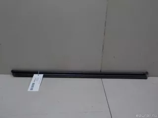 5NA839480 VAG Уплотнитель стекла двери Volkswagen Tiguan 2 Арт E14968046, вид 1