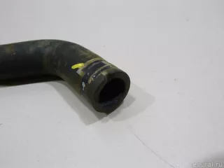215017250R Renault Патрубок радиатора Renault Sandero 2 Арт E48314199, вид 2