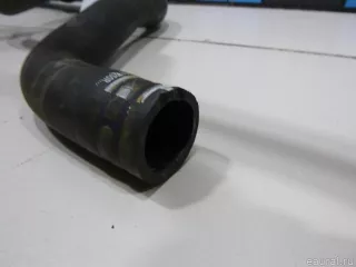 215017250R Renault Патрубок радиатора Renault Sandero 2 Арт E48314199, вид 4