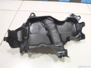 175B15263R Renault Накладка декоративная Renault Duster 2 Арт E48375817, вид 2