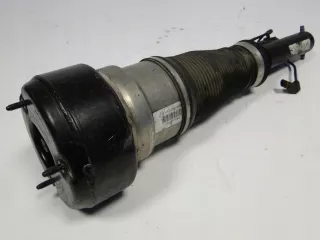 C086105,M,04 Амортизатор передний правый Mercedes S W221 Арт AL13273666108, вид 9
