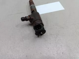 1980S5 Citroen-Peugeot Форсунка Citroen C3 2 restailing Арт E48520245, вид 4
