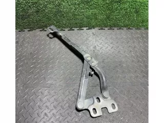 473499010 Петля капота Opel Corsa D Арт 55635, вид 2