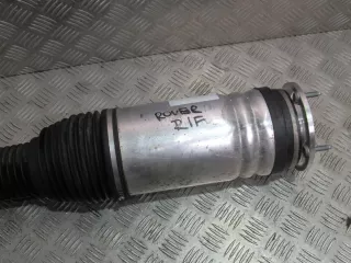 DPLA-3C285-AD Амортизатор передний правый Land Rover Range Rover 3 Арт AL13580376049, вид 3