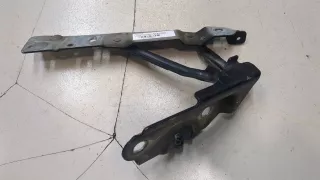 8643155 Петля крышки багажника Dodge Challenger 3 Арт 9396028, вид 3
