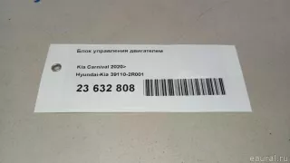 391102R001 Hyundai-Kia Блок управления двигателем Kia Carnival 4 Арт E23632808, вид 15