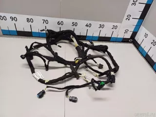 9810233680 Citroen-Peugeot Проводка (коса) Citroen C4 Picasso 2 Арт E52451271, вид 1