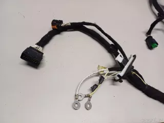 9810233680 Citroen-Peugeot Проводка (коса) Citroen C4 Picasso 2 Арт E52451271, вид 4