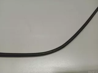 51727341647 BMW Уплотнитель двери BMW 5 G30/G31 Арт E23658627, вид 3
