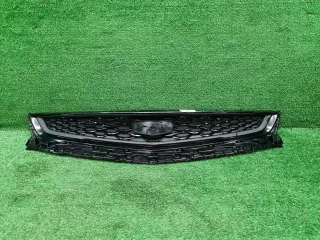 6013043000 решетка радиатора Geely Tugella Арт DIZ0000007389405, вид 1