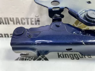 41617475792 Петля капота BMW X3 G01 Арт TP107203, вид 7