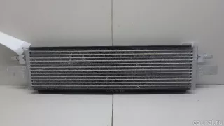 17219494828 BMW Радиатор (маслоохладитель) АКПП BMW 3 G20/G21 Арт E70767760, вид 6