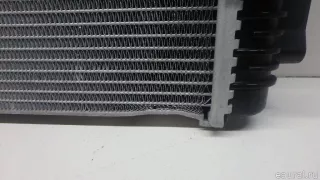 17118666739 BMW Радиатор основной BMW 3 G20/G21 Арт E70768003, вид 4