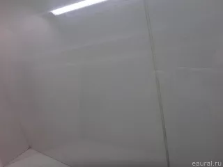 107790499C Tesla Стекло двери задней левой Tesla model 3 Арт E70575406, вид 4
