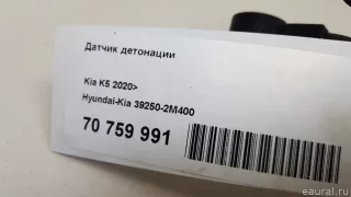 392502M400 Hyundai-Kia Датчик детонации Kia K5 3 Арт E70759991, вид 5