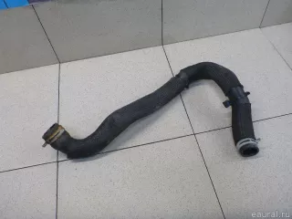 215017139R Renault Патрубок радиатора Renault Duster 2 Арт E100518349, вид 2