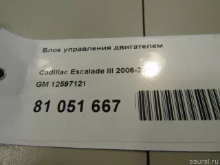 12597121 GM Блок управления двигателем Cadillac Escalade 3 Арт E81051667, вид 4