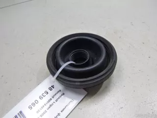 6001548130 Renault Пыльник фары Renault Logan 1 Арт E48539065, вид 5